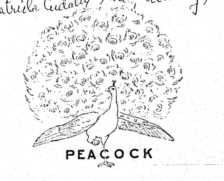 PEACOCK logo