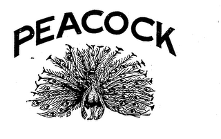 PEACOCK logo
