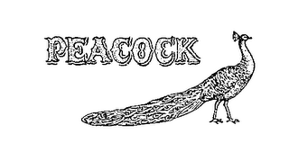 PEACOCK