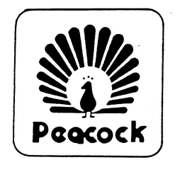 PEACOCK logo