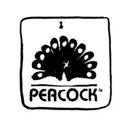 PEACOCK logo