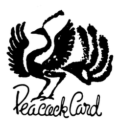 PEACOCK CARD logo