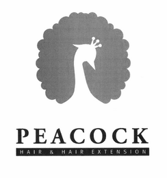 PEACOCK HAIR. HAIR EXTENSION logo