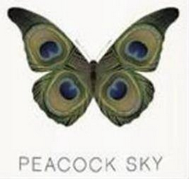 PEACOCK SKY logo