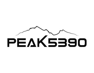 PEAK 5390 logo