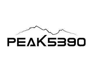 PEAK 5390 logo