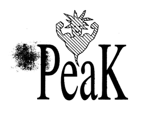 PEAK logo