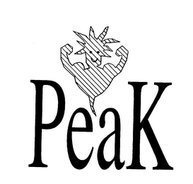 PEAK logo