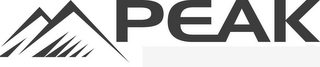 PEAK logo
