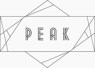 PEAK logo