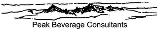 PEAK BEVERAGE CONSULTANTS logo