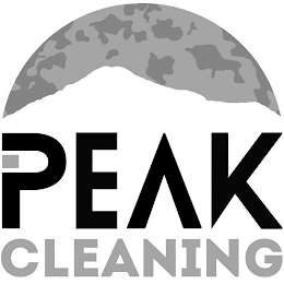 PEAK CLEANING logo