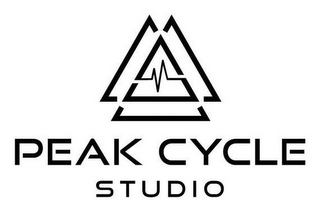 PEAK CYCLE STUDIO logo