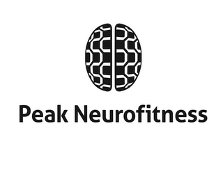 PEAK NEUROFITNESS logo