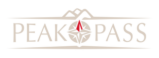 PEAK PASS logo