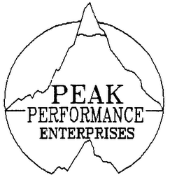 PEAK PERFORMANCE ENTERPRISES logo