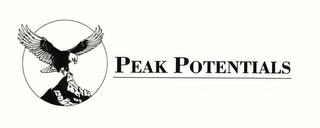 PEAK POTENTIALS logo
