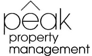 PEAK PROPERTY MANAGEMENT logo