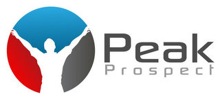 PEAK PROSPECT logo