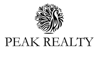 PEAK REALTY logo
