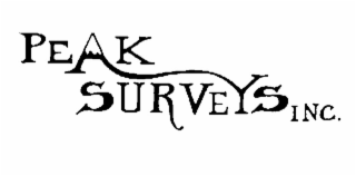 PEAK SURVEYS INC. logo