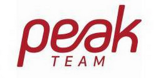 PEAK TEAM logo