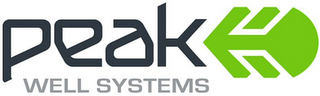 PEAK WELL SYSTEMS logo