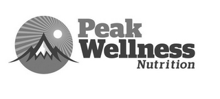 PEAK WELLNESS NUTRITION logo