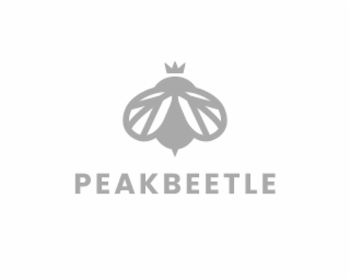 PEAKBEETLE logo