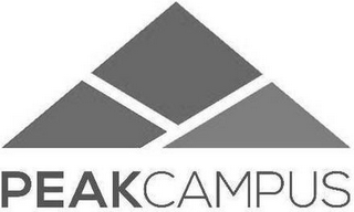 PEAKCAMPUS logo