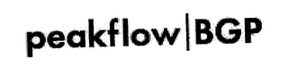 PEAKFLOW BGP logo