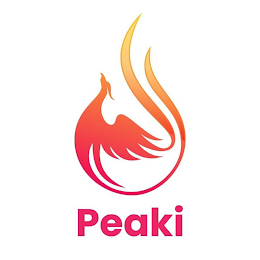 PEAKI logo