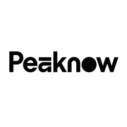 PEAKNOW logo