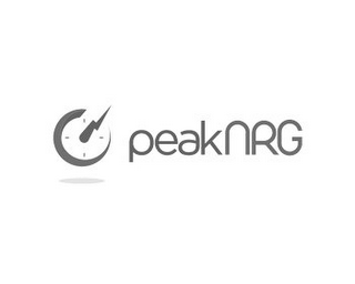PEAKNRG logo