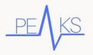 PEAKS logo