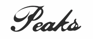 PEAKS logo