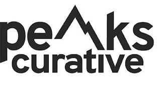 PEAKS CURATIVE logo
