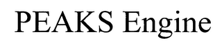 PEAKS ENGINE logo
