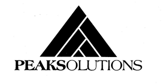 PEAKSOLUTIONS logo