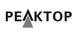 PEAKTOP logo