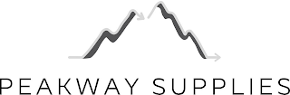 PEAKWAY SUPPLIES logo