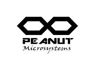 PEANUT MICROSYSTEMS logo