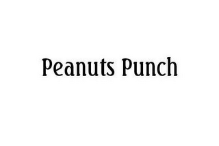 PEANUTS PUNCH logo