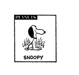 PEANUTS SNOOPY logo