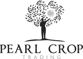 PEARL CROP TRADING logo