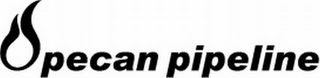 PECAN PIPELINE logo