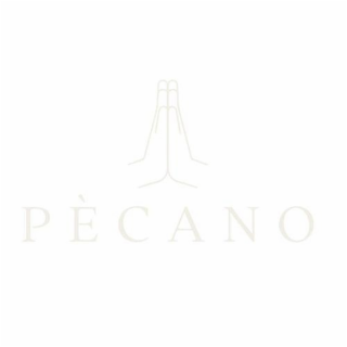 PECANO logo