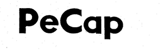 PECAP logo
