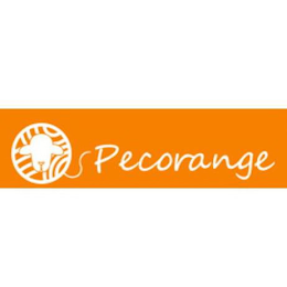 PECORANGE logo