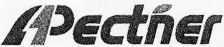 PECTNER logo